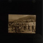 Böhl glass slide 61.3/1776